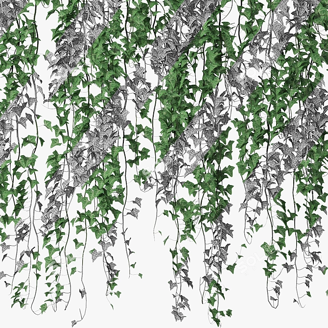 Lush Ivy Plant in Pot 3D model image 5