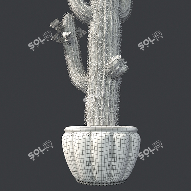 Desert Oasis Cactus Pot 3D model image 5