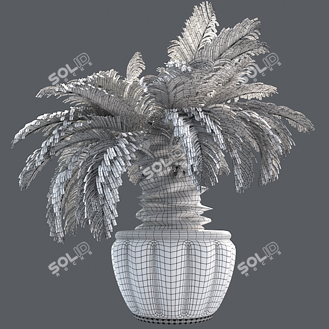 Optimized Sago Palm Pot 3D model image 5