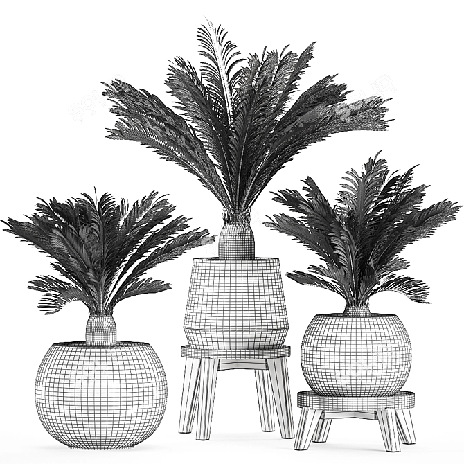 Tropical Palm Collection: Exotic Indoor Plants 3D model image 5