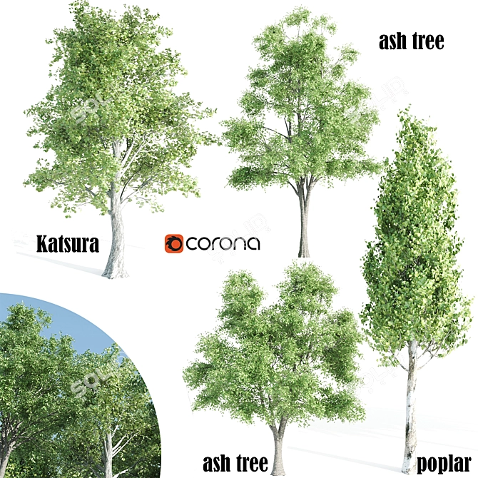Enchanting 4-Piece Corona Tree Set 3D model image 1