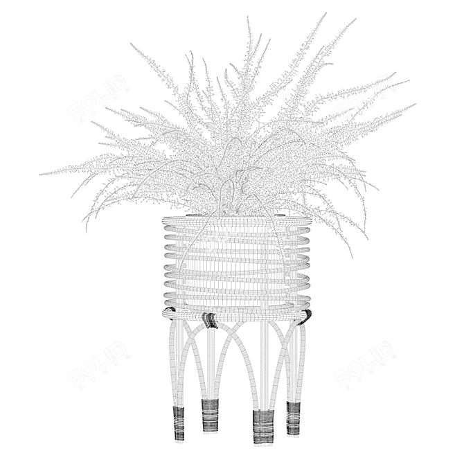 Indoor Fern Plant: High-quality 3D Model 3D model image 5