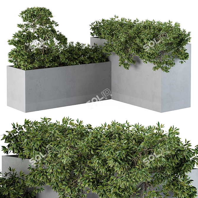 Concrete Outdoor Planters Set 3D model image 1