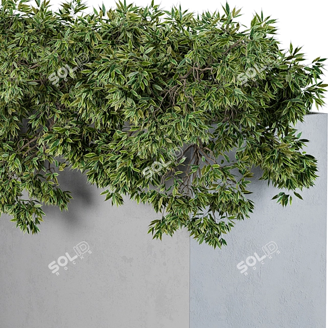 Concrete Outdoor Planters Set 3D model image 3