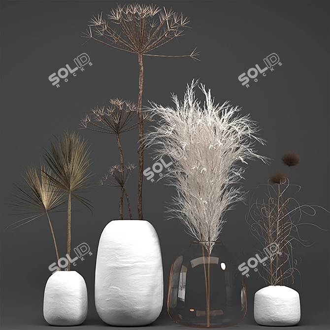 Exquisite Dry Plant Collection 3D model image 1