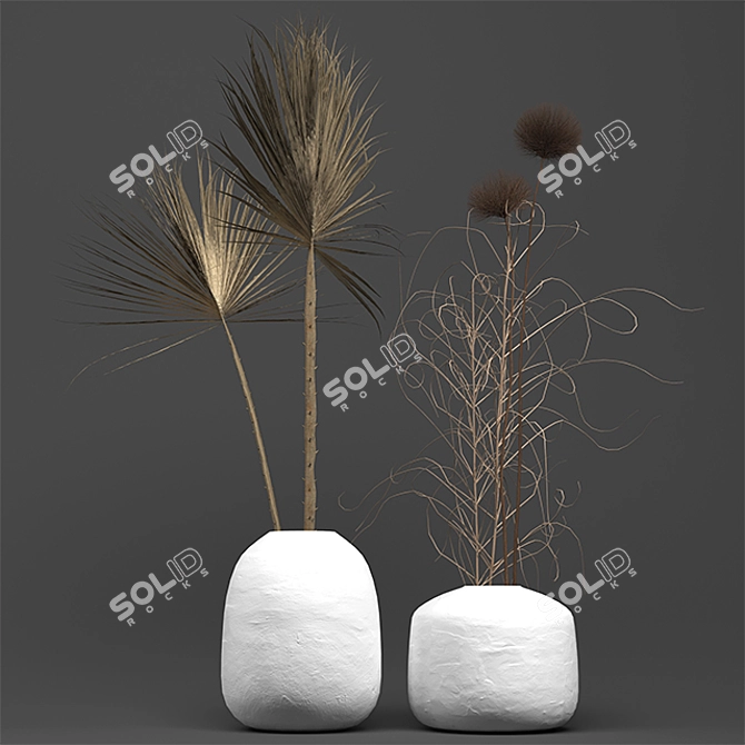 Exquisite Dry Plant Collection 3D model image 3