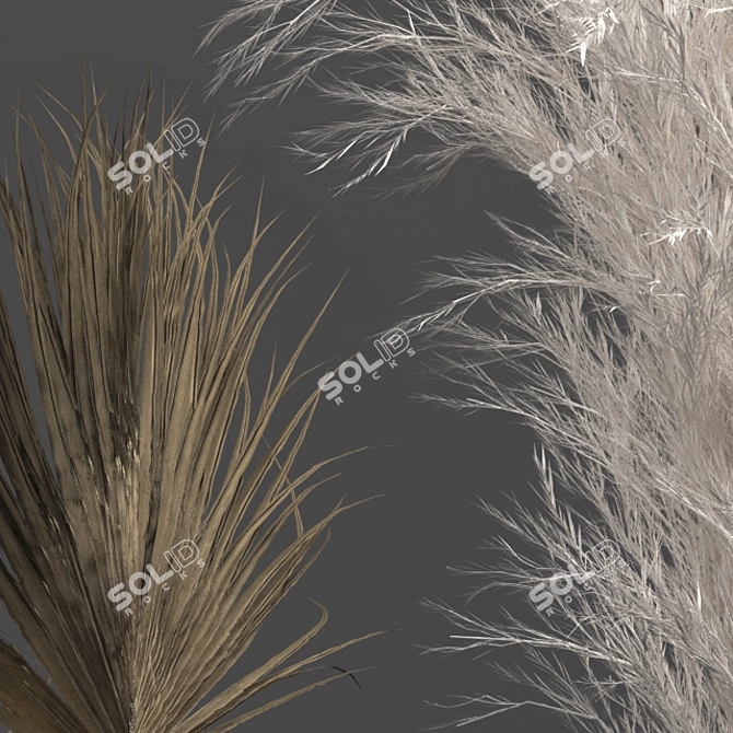 Exquisite Dry Plant Collection 3D model image 4
