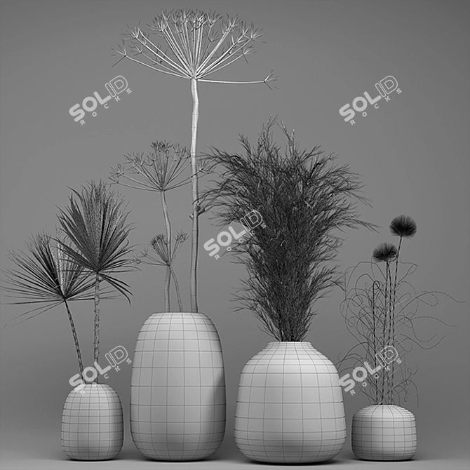 Exquisite Dry Plant Collection 3D model image 5