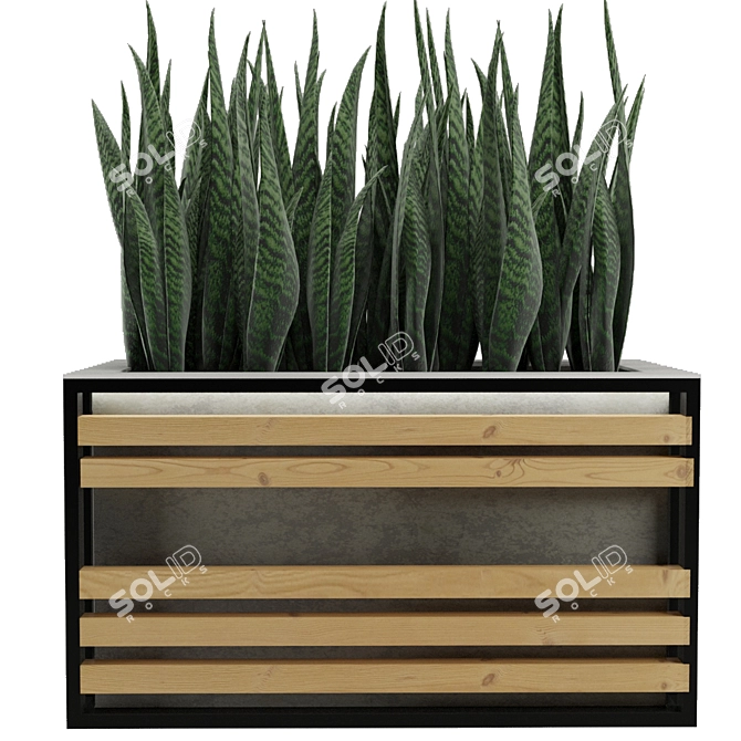 Concrete Textured Sansevieria Planter 3D model image 3