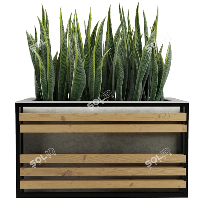 Concrete Textured Sansevieria Planter 3D model image 4