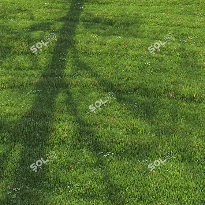 Lush Green Lawn 3D Model 3D model image 2