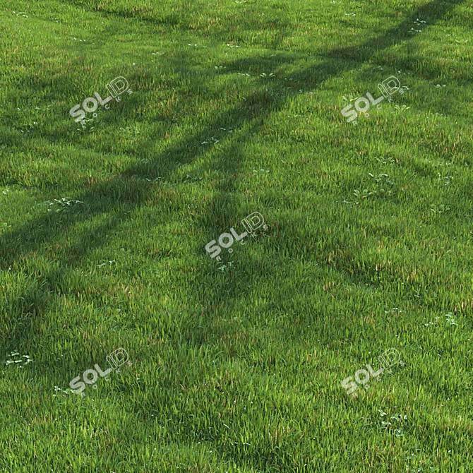 Lush Green Lawn 3D Model 3D model image 3