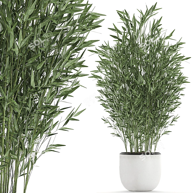 Exotic Bamboo Plant Collection 3D model image 1