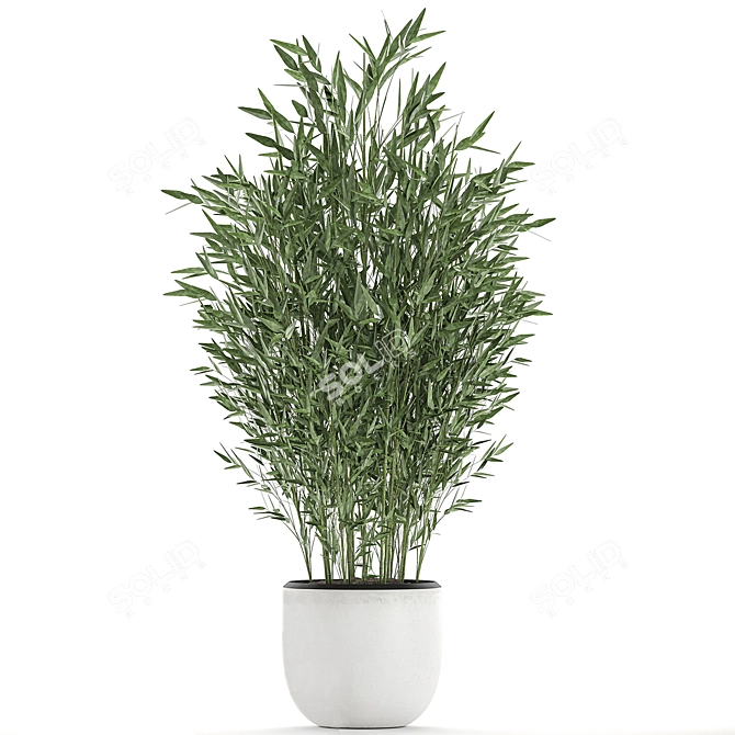 Exotic Bamboo Plant Collection 3D model image 3