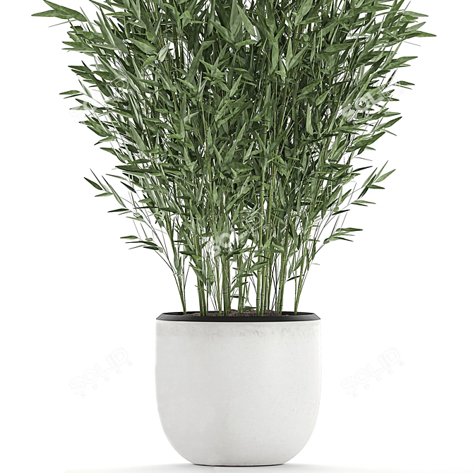 Exotic Bamboo Plant Collection 3D model image 4