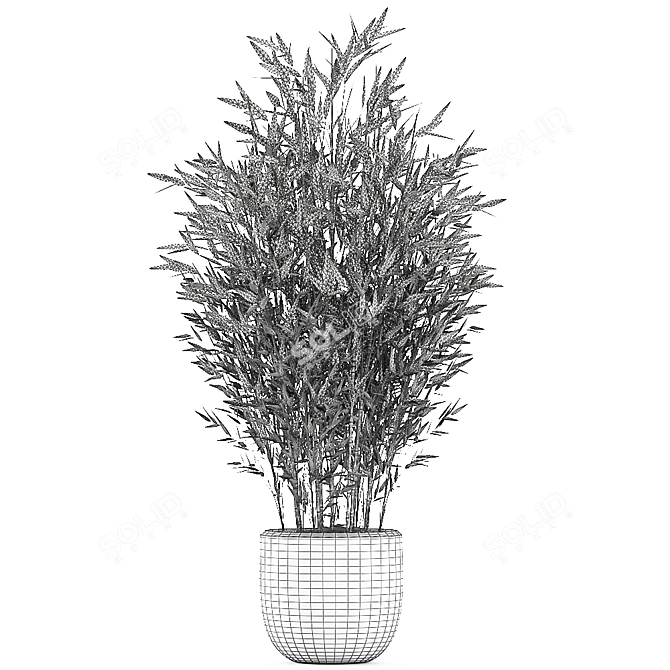 Exotic Bamboo Plant Collection 3D model image 5