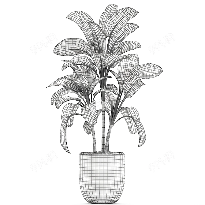 Exotic Dieffenbachia Plant in White Vase 3D model image 5
