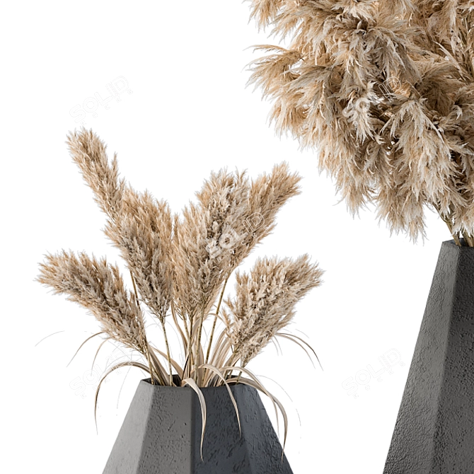 Elegant Pampas in Polygonal Vase 3D model image 3