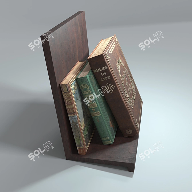 Title: Leather Books Collection - 2014+Corona+Vray 3D model image 3