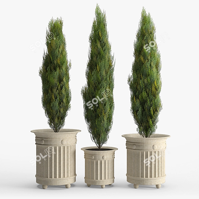 White Cedar Prescott Planter 3D model image 1