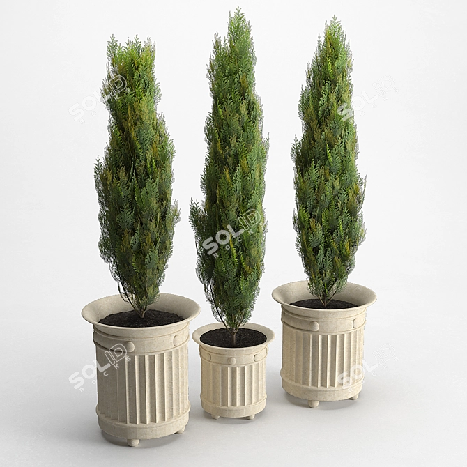 White Cedar Prescott Planter 3D model image 2