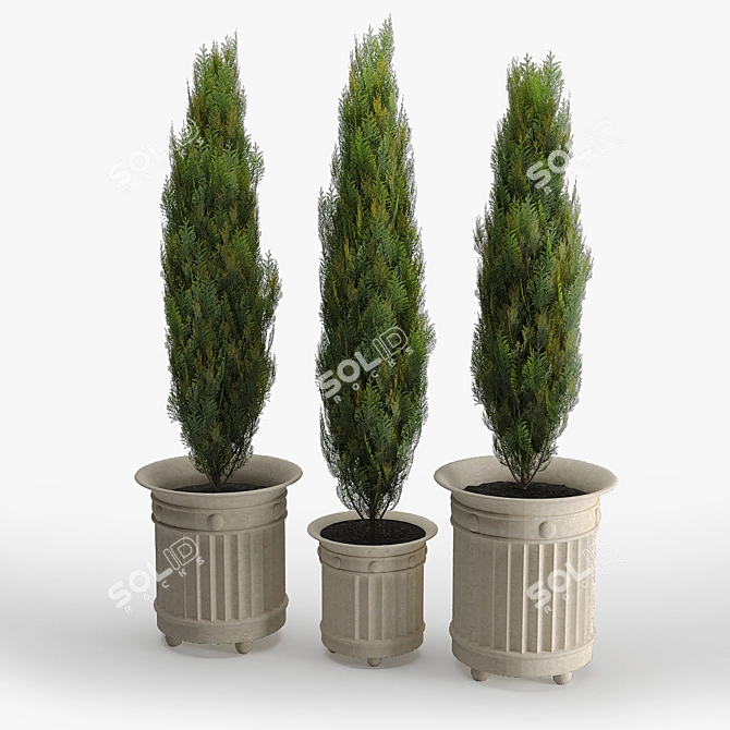 White Cedar Prescott Planter 3D model image 3