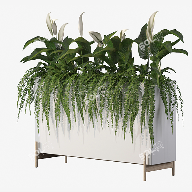 Office Greenery Set: Fern & Peace Lily 3D model image 3