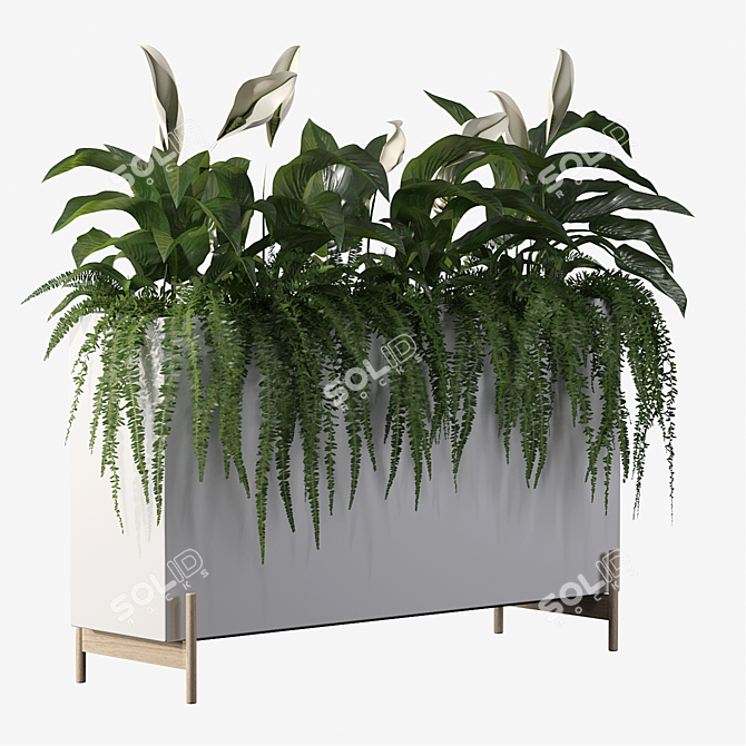 Office Greenery Set: Fern & Peace Lily 3D model image 4