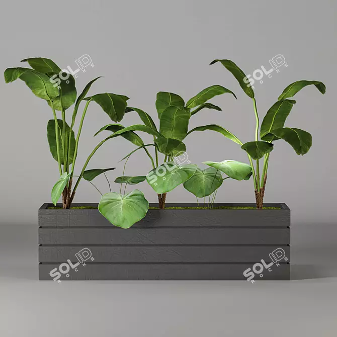 Botanical Greenery Collection 3D model image 1