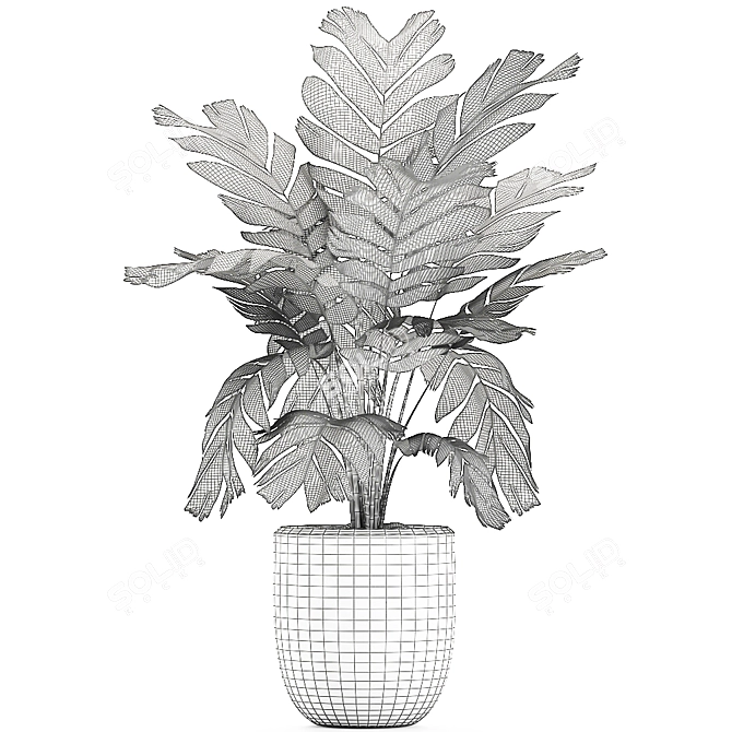 Exotic Chamaedorea: White Pot Palms 3D model image 5