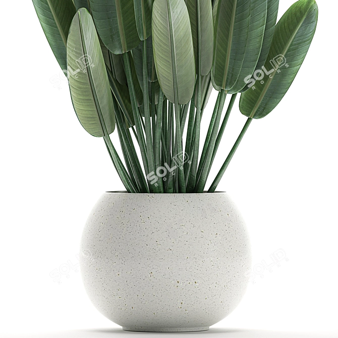 Exotic Plant Collection in White Vase 3D model image 2
