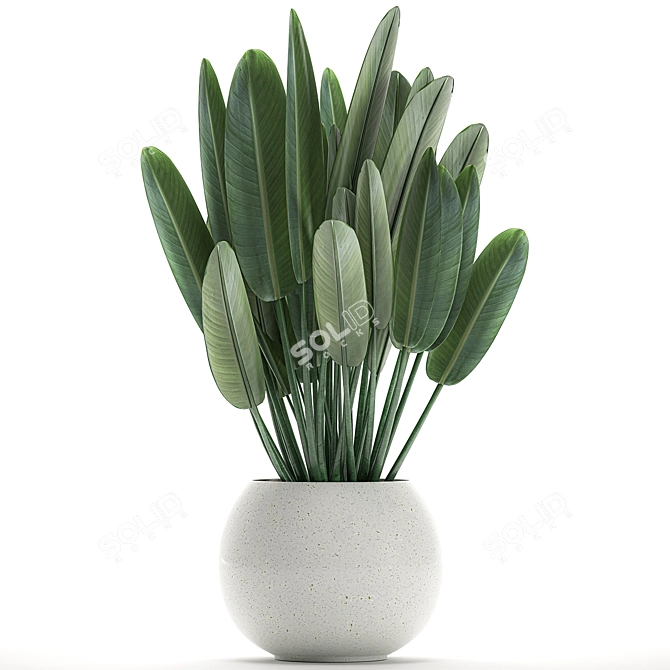 Exotic Plant Collection in White Vase 3D model image 4