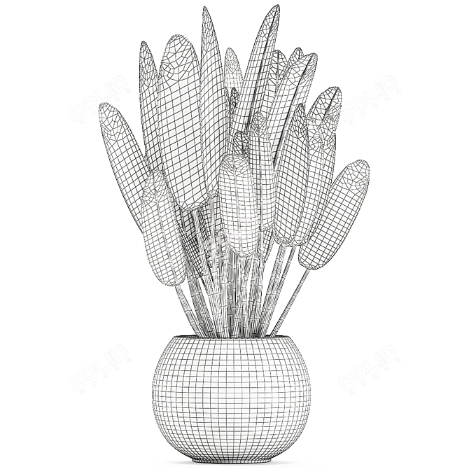 Exotic Plant Collection in White Vase 3D model image 5