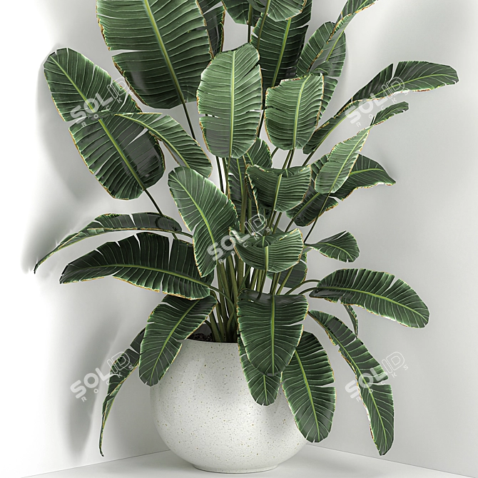 Exotic Corner Plant Collection 3D model image 3