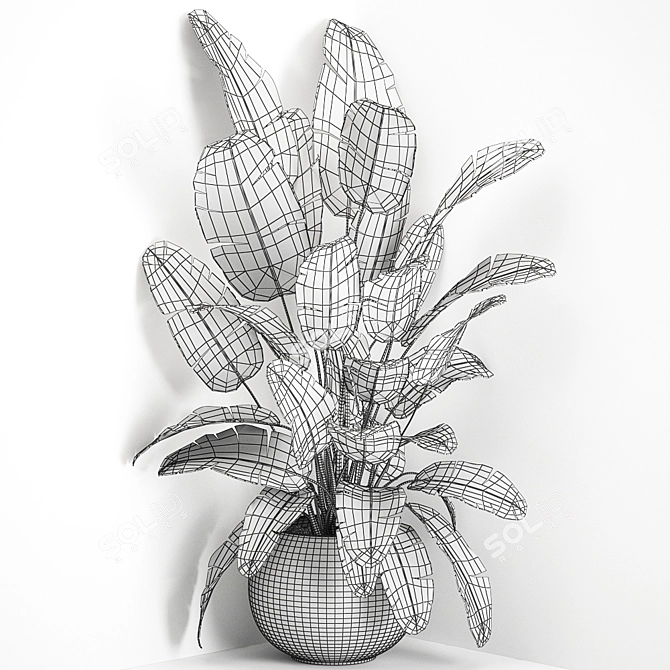 Exotic Corner Plant Collection 3D model image 4