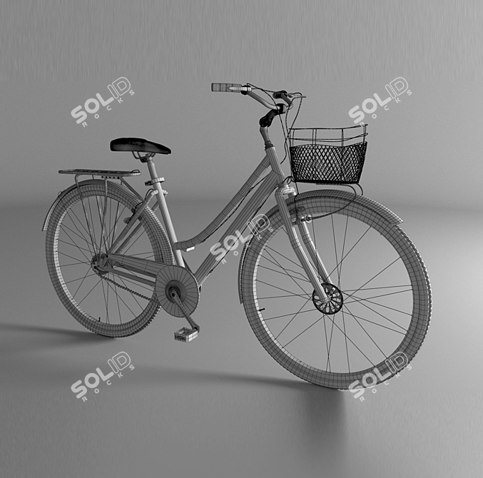 Russian Female Bike: 3Ds Max 2016 3D model image 5