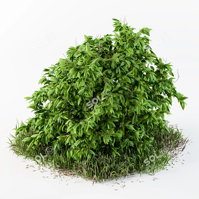 Strawberry Bush & Wild Grass - Outdoor Delight! 3D model image 1