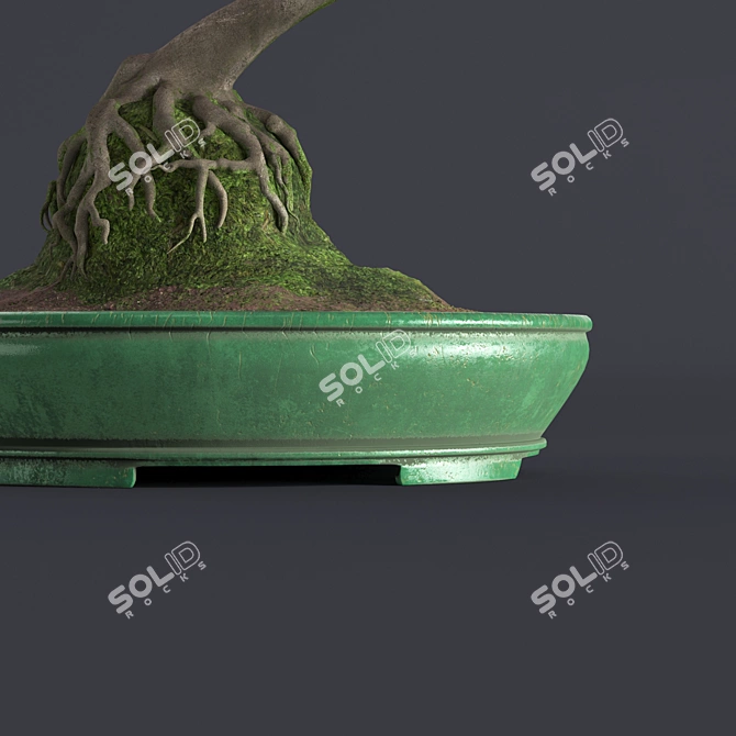 Japanese Azalea Bonsai: Tradition Transformed 3D model image 3