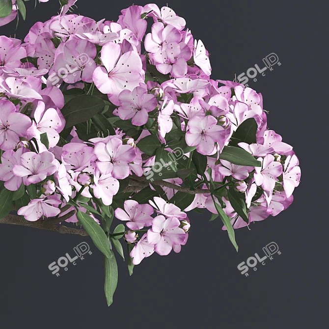 Japanese Azalea Bonsai: Tradition Transformed 3D model image 4