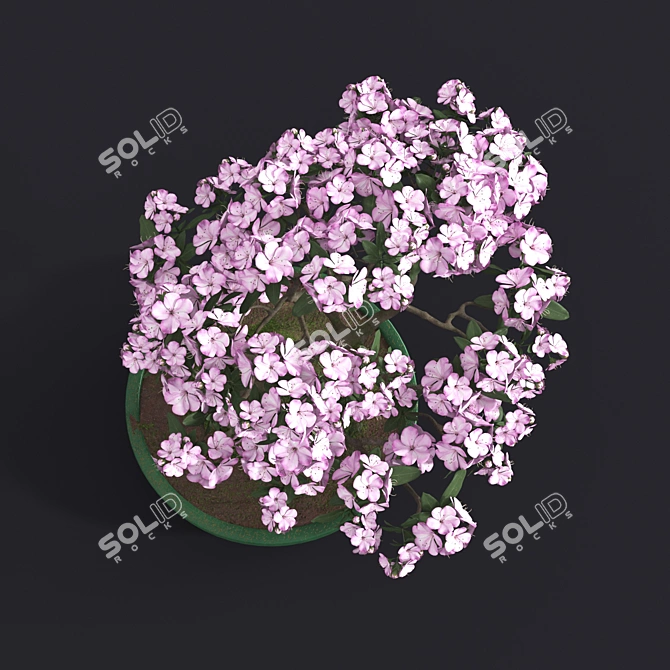 Japanese Azalea Bonsai: Tradition Transformed 3D model image 5