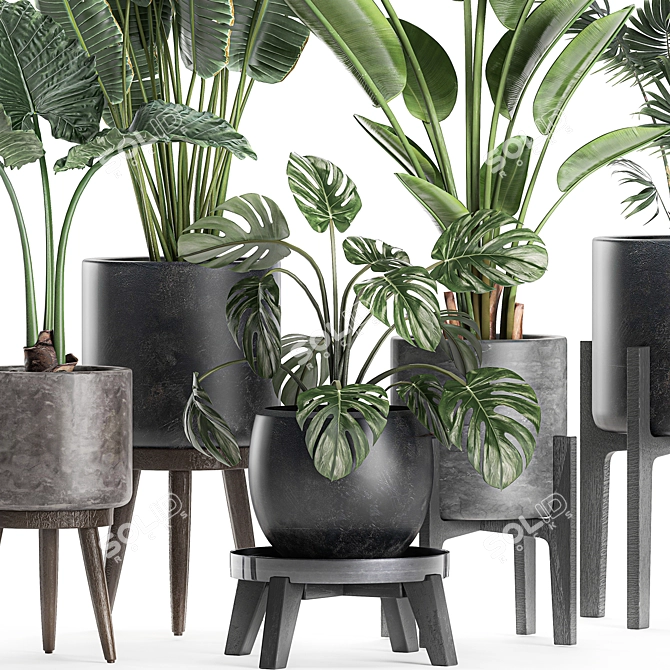 Exotic Plant Collection in Black Vase 3D model image 2