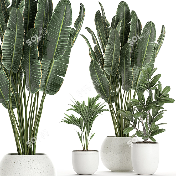 Exotic Plant Collection in White Vase 3D model image 1