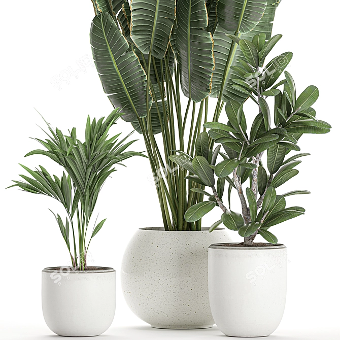 Exotic Plant Collection in White Vase 3D model image 3