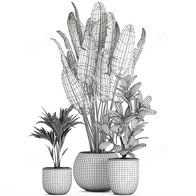 Exotic Plant Collection in White Vase 3D model image 5
