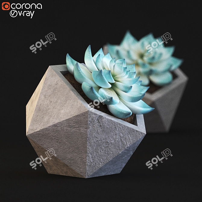 3D Cactus Model Archive 3D model image 2