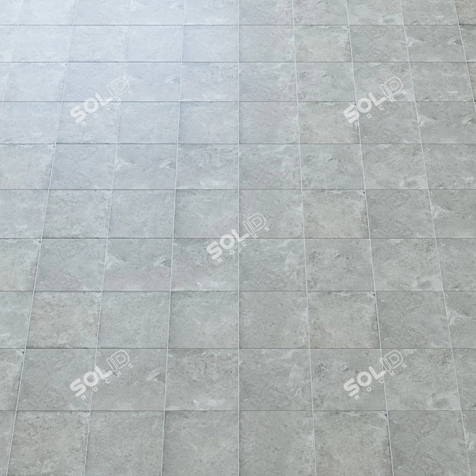 FS RIALTO Ceramic Tiles - Natural Finish 3D model image 3