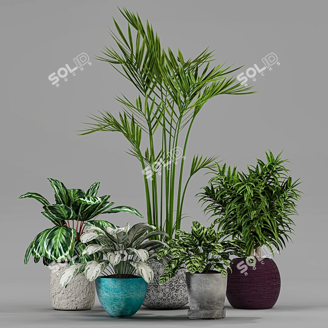 Variety of Plants Collection 3D model image 1