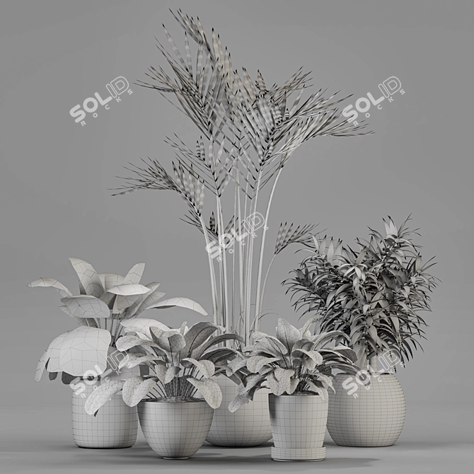 Variety of Plants Collection 3D model image 2