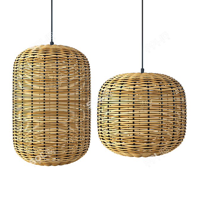 Rattan and Metal Ceiling Lamp 3D model image 1