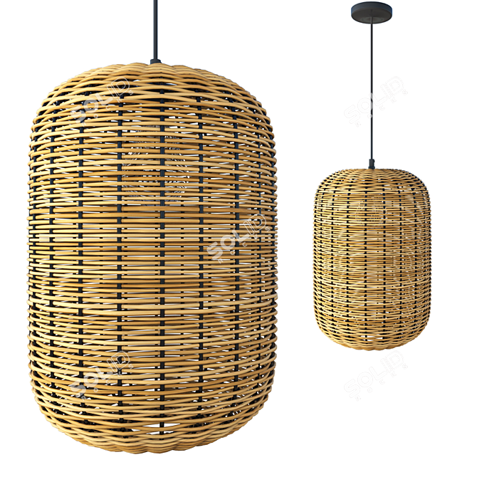 Rattan and Metal Ceiling Lamp 3D model image 2